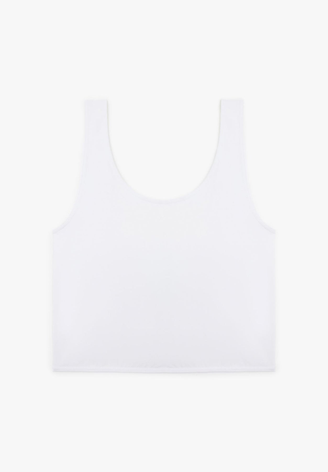 Lovjoi Daybra HOLLYFERN Begrenztes Angebot