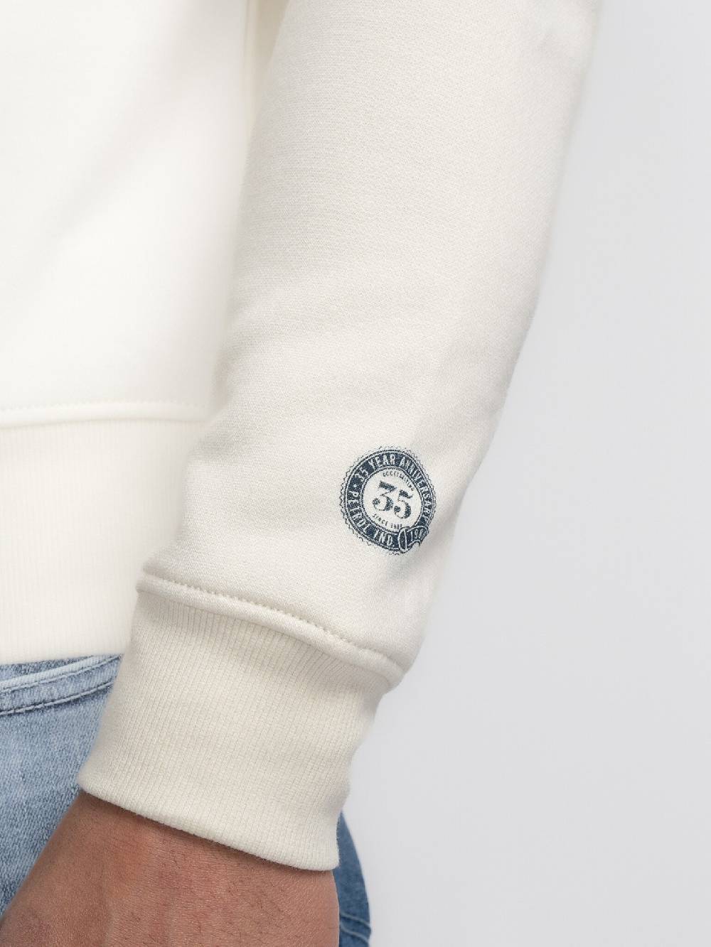 Petrol M-3040-SWR364 Men Sweater Round Neck Print (0007 Antique White) Super Sparpreis