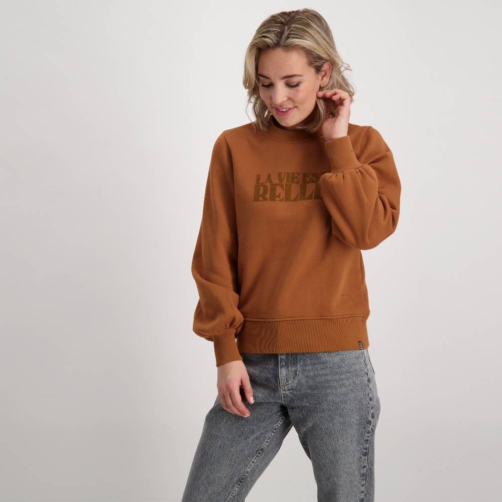 Cars Jeans DANIEK SW Camel Speichern exportieren