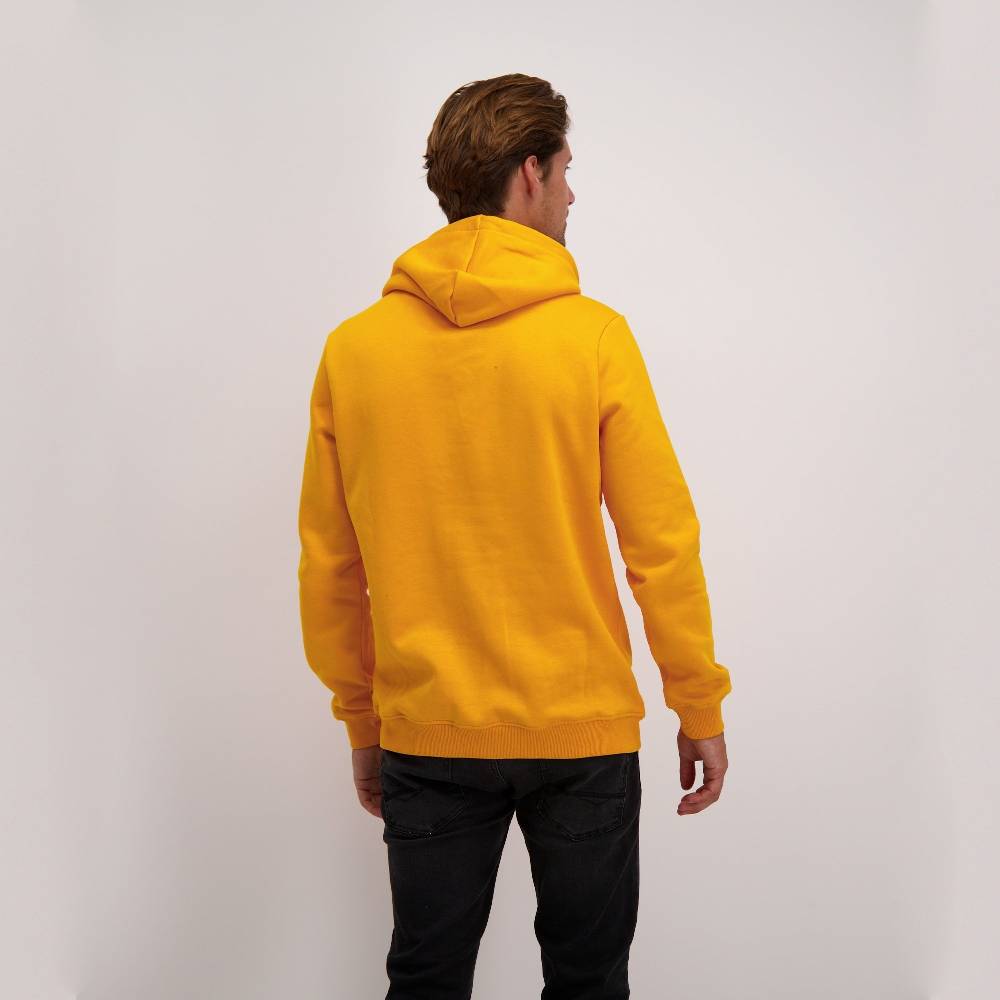 Cars Jeans KIMAR HOOD SW OCRE Bestseller