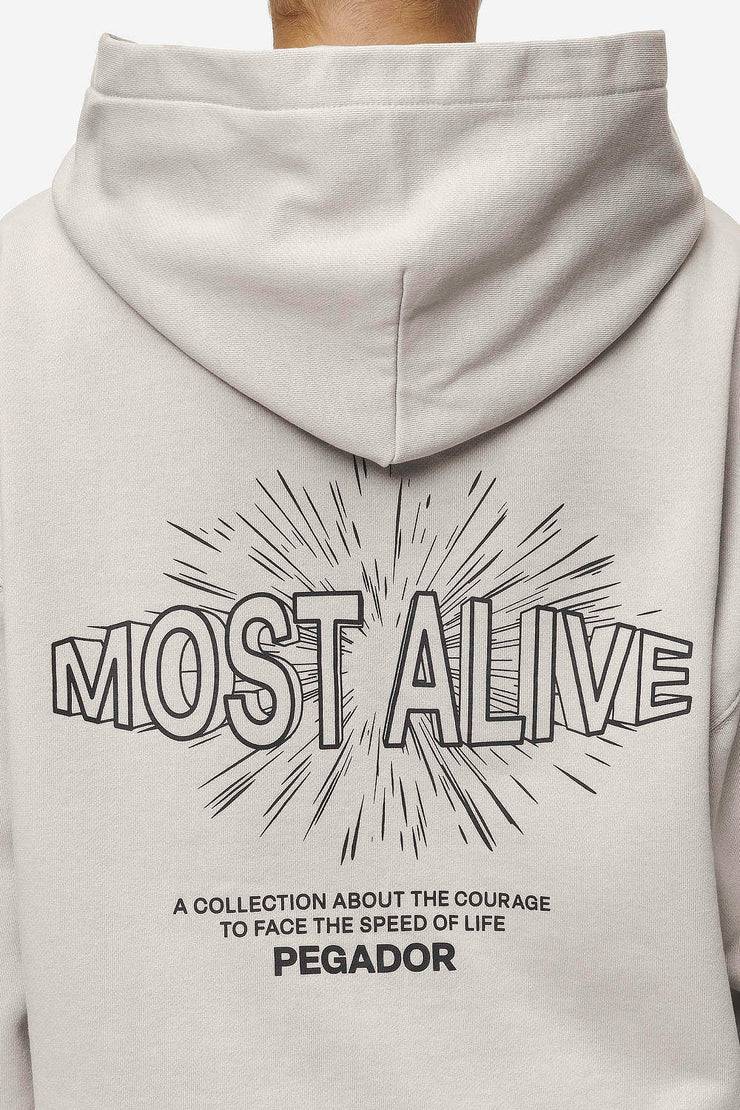 Pegador Nisa Oversized Hoodie Washed Moon Grey Valentinstagsangebot