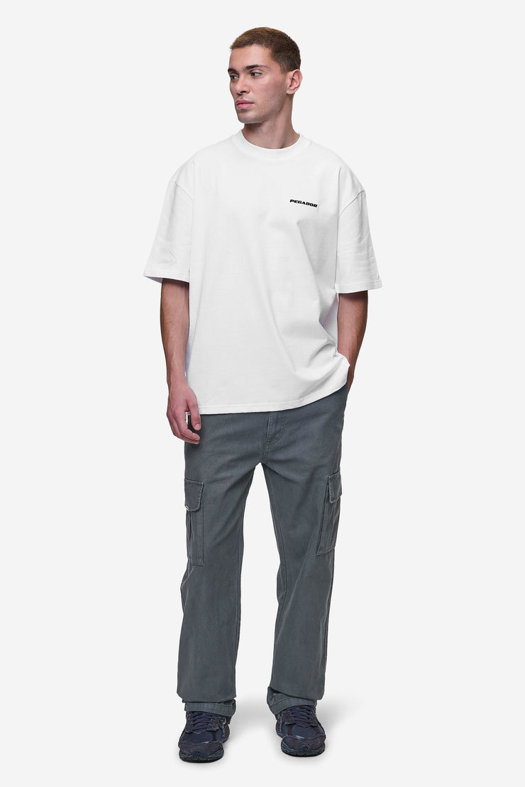 Pegador Waymir Cargo Pants Grey Großer Ausverkauf