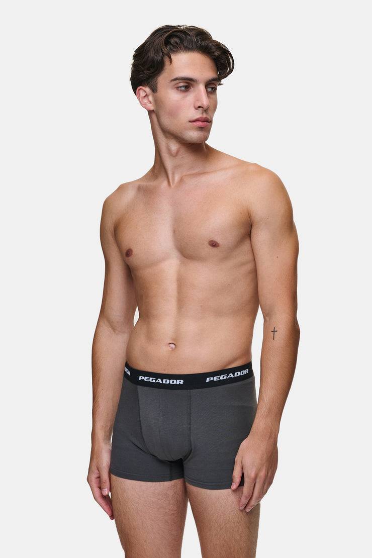 Pegador Tantun Boxershorts 3 Pack Grey Melange Black Anthracite Wochenangebot