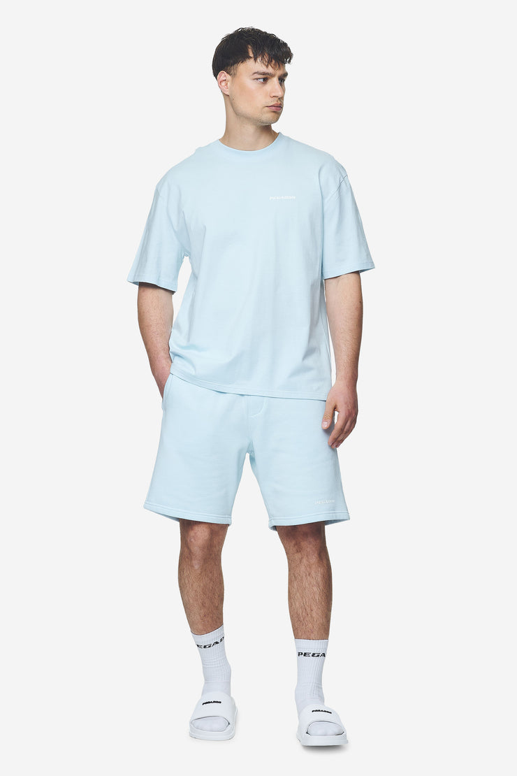 Pegador Logo Oversized Tee Washed Baby Blue White Gum Super Sparpreis