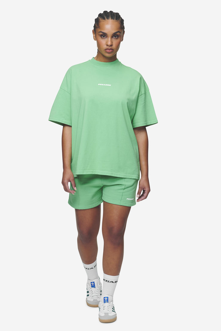 Pegador Bracy Heavy Oversized Tee Washed Peppermint Green White Gum Nur für heute