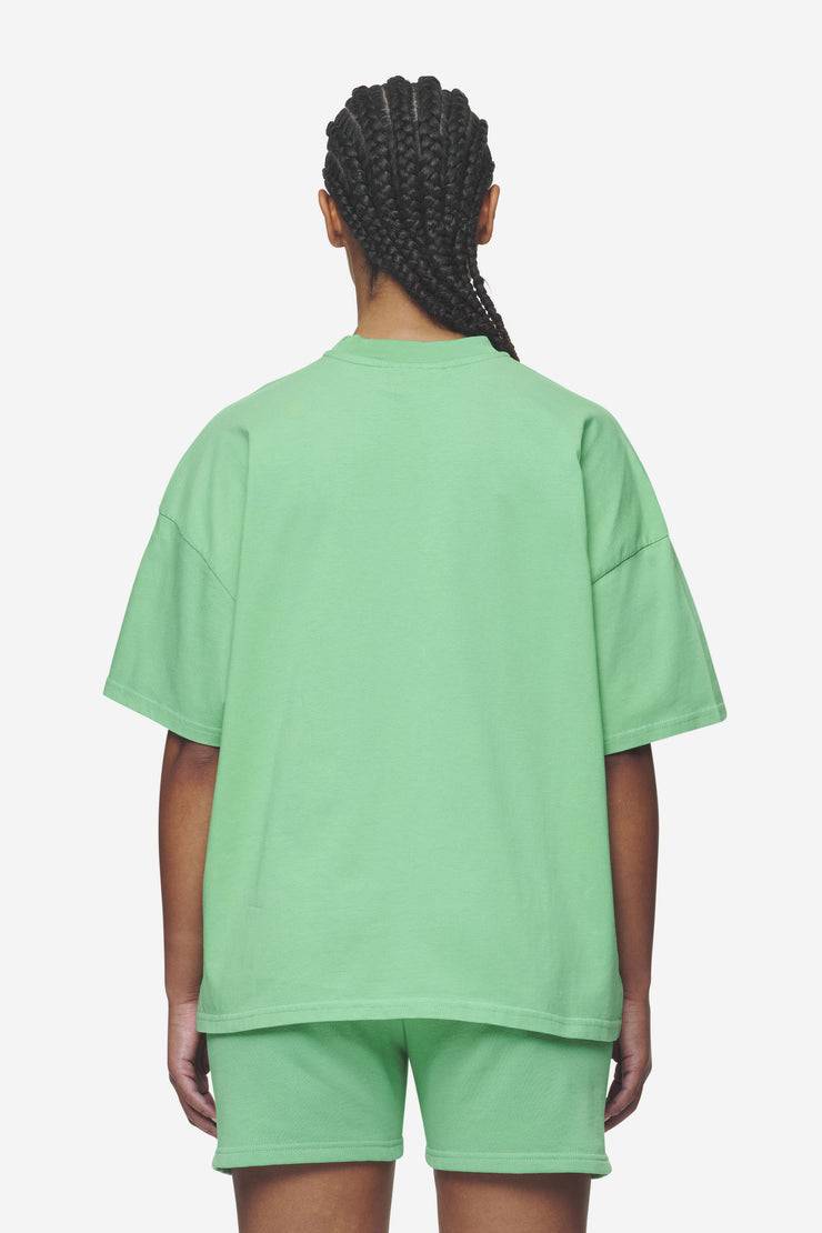 Pegador Bracy Heavy Oversized Tee Washed Peppermint Green White Gum Nur für heute