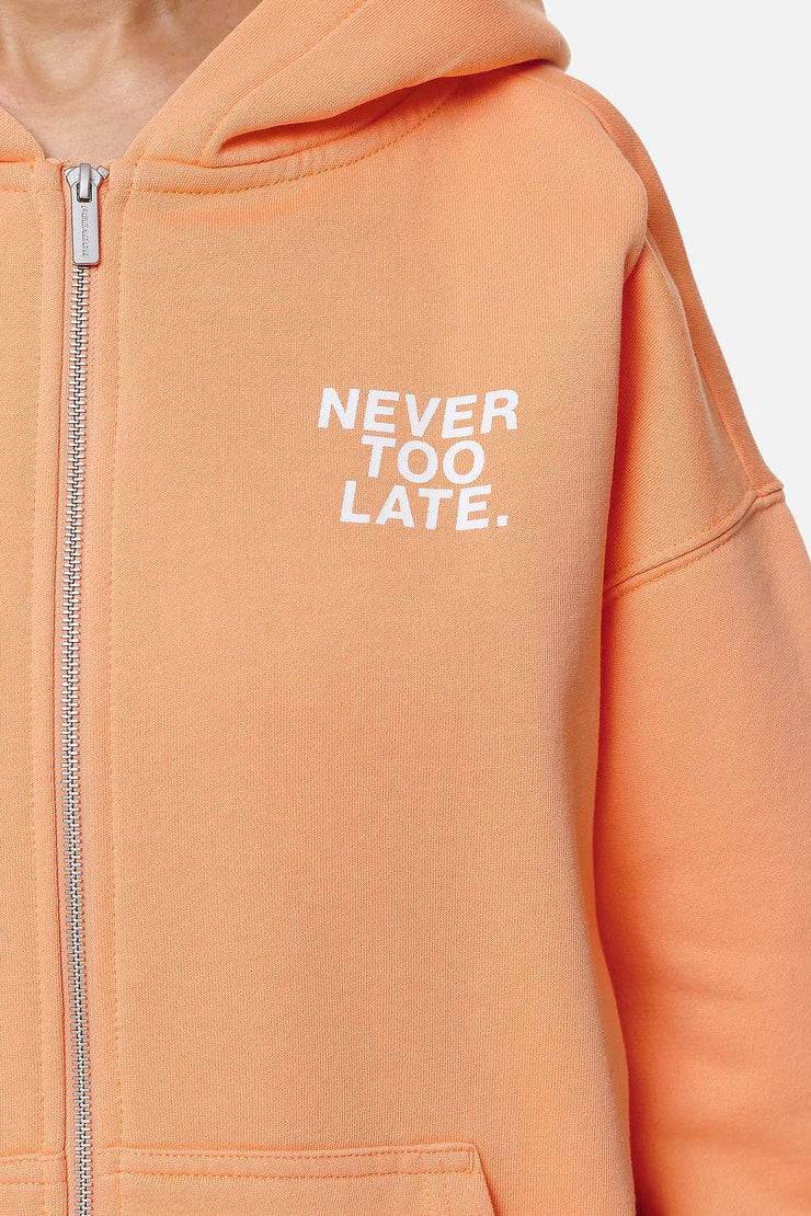 Pegador Airville Oversized Zip Hoodie Washed Apricot Begrenztes Angebot