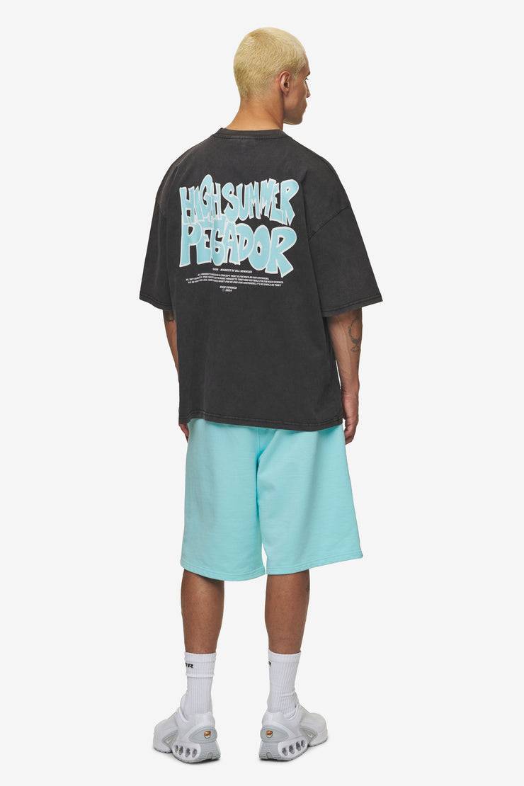 Pegador Farrar Boxy Tee Vintage Black Nur für heute