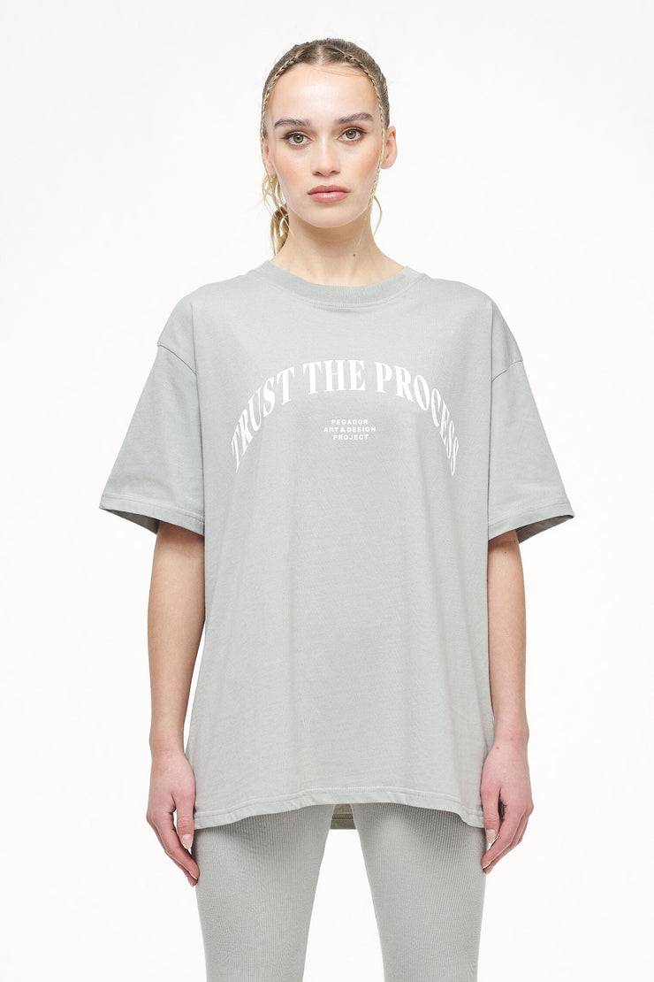 Pegador Topa Oversized Tee Vintage Washed Quiet Gray zollfrei