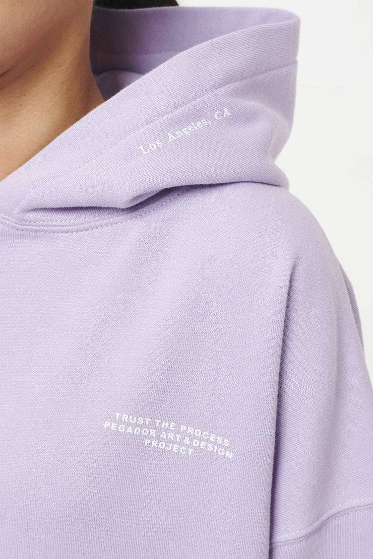 Pegador Mace Oversized Hoodie Vintage Washed Purple Paste Rabatte dieses Monats