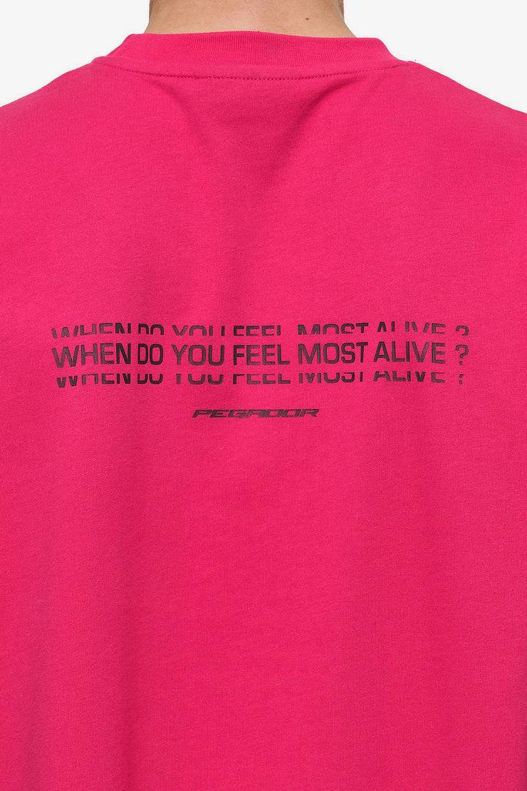 Pegador Edens Oversized Tee Washed Virtual Pink Angebote