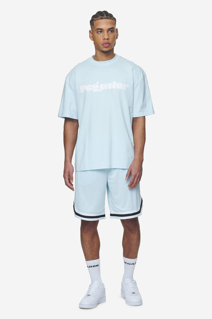 Pegador Lansing Basketball Shorts Baby Blue Schlussverkauf