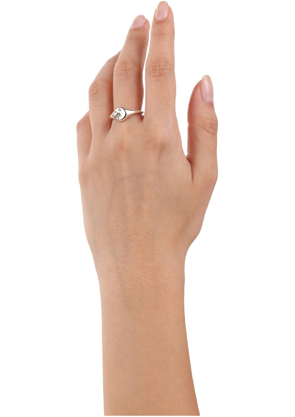 s.Oliver rosévergoldeter Silber-Ring mit Zirkonia-Steinen Letzter Tag